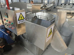 供應(yīng) 麻花小型油炸機 巴氏殺菌油炸設(shè)備